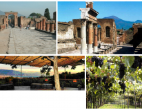 Pompeii & Wine Tasting - Tour Select